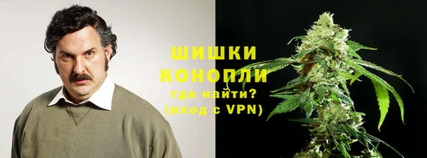 прущие крисы Аркадак
