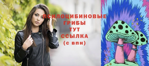 таблы Алзамай