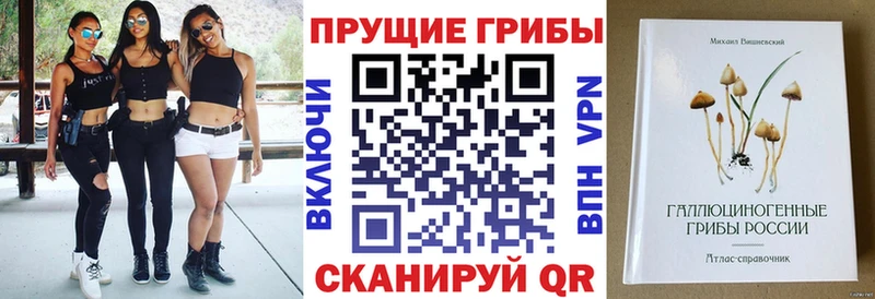где купить наркотик  Краснотурьинск  shop какой сайт  Псилоцибиновые грибы Cubensis  гидра ТОР 