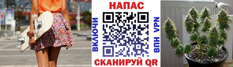 Бошки марихуана OG Kush  Краснотурьинск 